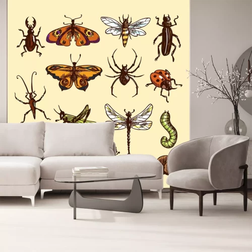 Sticker Verschiedene Arten von Insekten