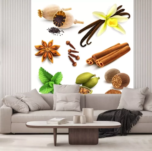 Sticker Verschiedene Arten von Gewürzen Grafik