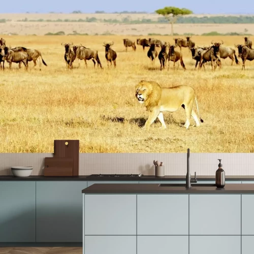 Fototapete Afrika Tiere in der Savanne