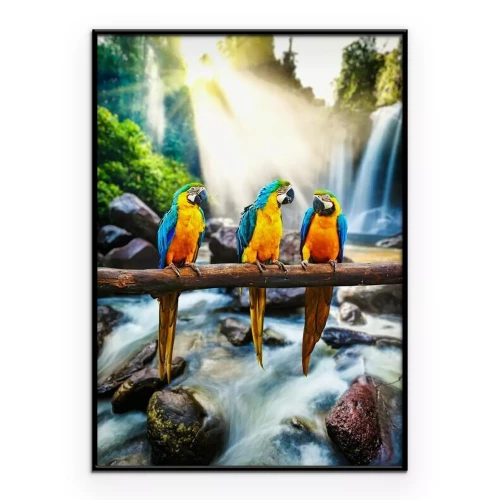 Poster Blau-und-gelber Macaw Ara ararauna