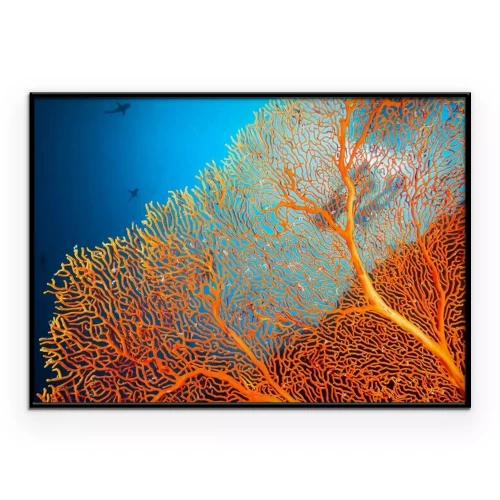 Poster Taucher erkunden ein orangefarbenes Korallenriff