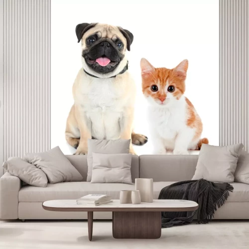 Sticker Hund und Katze schauen voraus