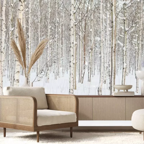 Fototapete Schlanke Birken im Winter