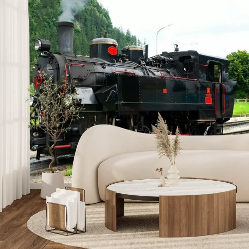 Fototapete Schwarz-weißer Dampfzug mit Waldhintergrund