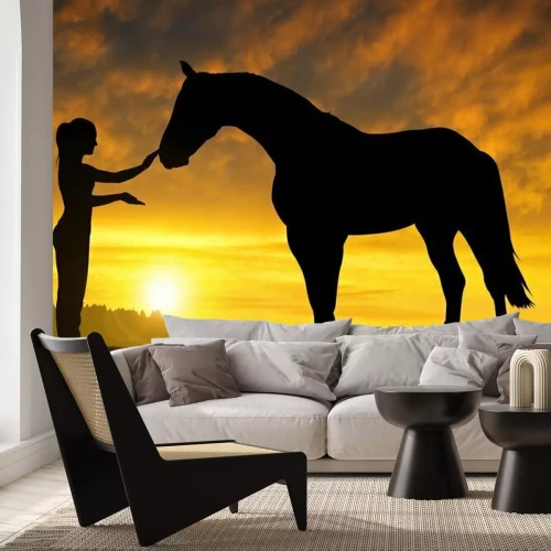 Sticker Mädchen mit einem Pferd bei Sonnenuntergang