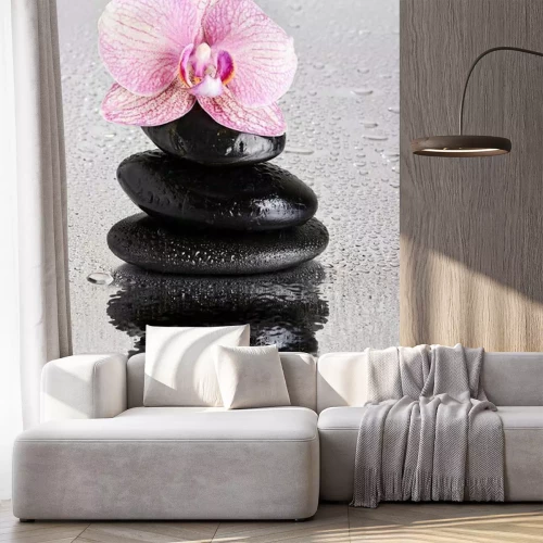 Fototapete Orchidee pink Steine und Wassertropfen