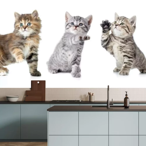 Sticker Kleine Katzen mit einer erhobenen Pfote