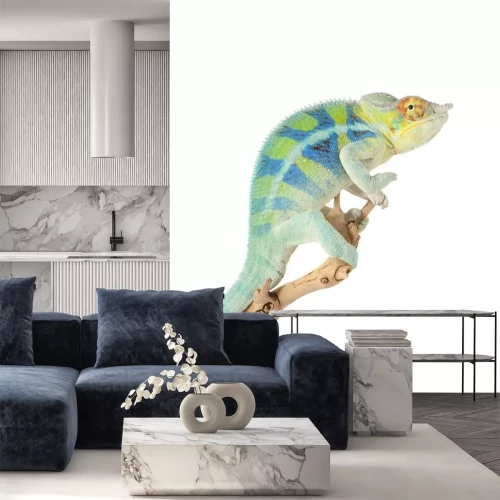 Sticker Tiere grün-blaues Chamäleon mit gelbem Auge