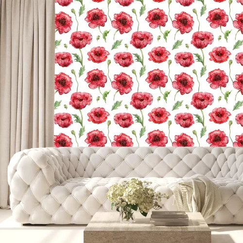 Tapete Aquarell-Mohnblumen auf weißem Hintergrund