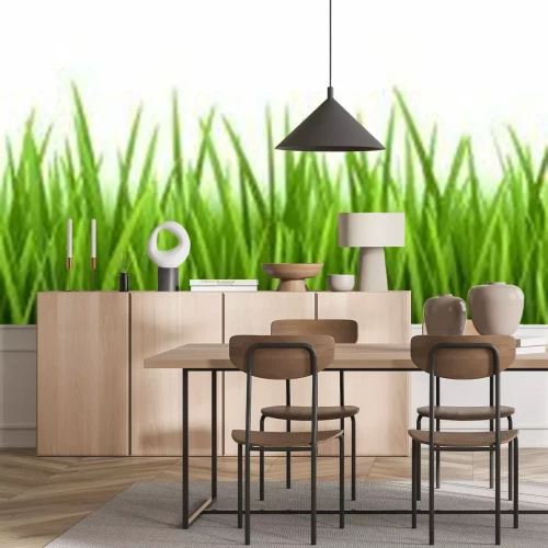 Fototapete Grünes Gras auf weißem Hintergrund