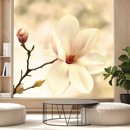 Fototapete Schreibtisch