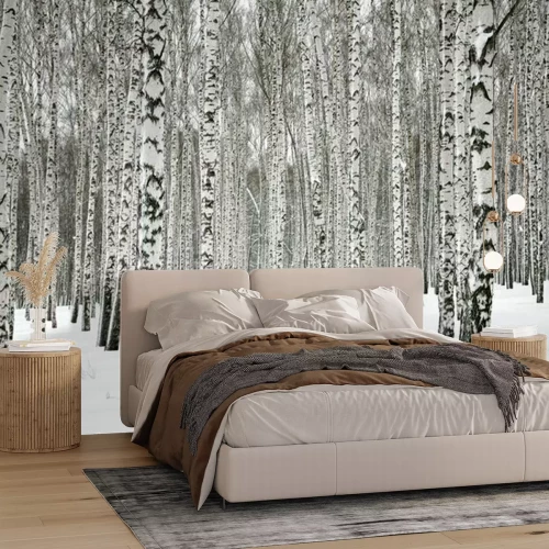 Fototapete Schnee im Wald voller Birken