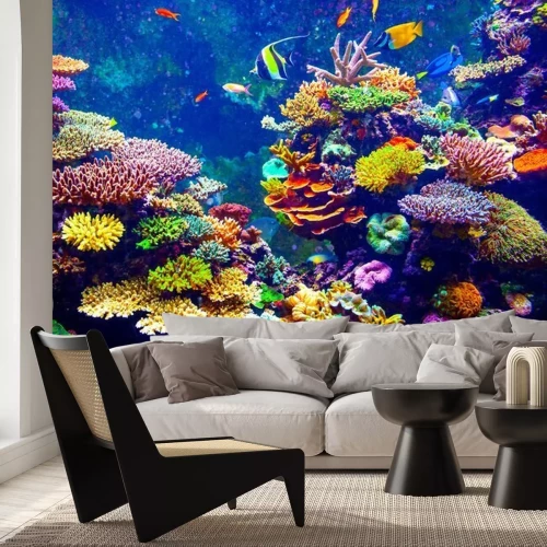 Fototapete Mehrfarbiges Korallenriff