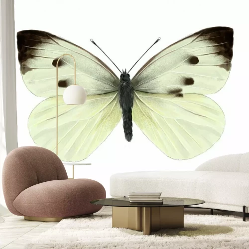 Sticker Kohlkopfschmetterling