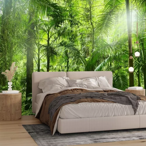 Fototapete Regenwald