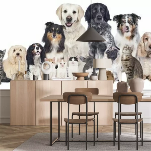 Sticker Hund und Katzen auf weißem Hintergrund