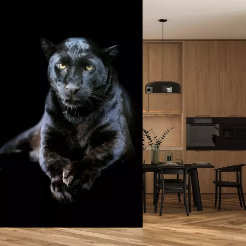 Fototapete Tier auf dunklem Hintergrund