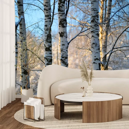Fototapete Birken 3D im Winter