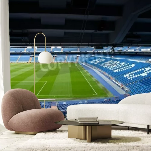 Fototapete Vor dem Spiel