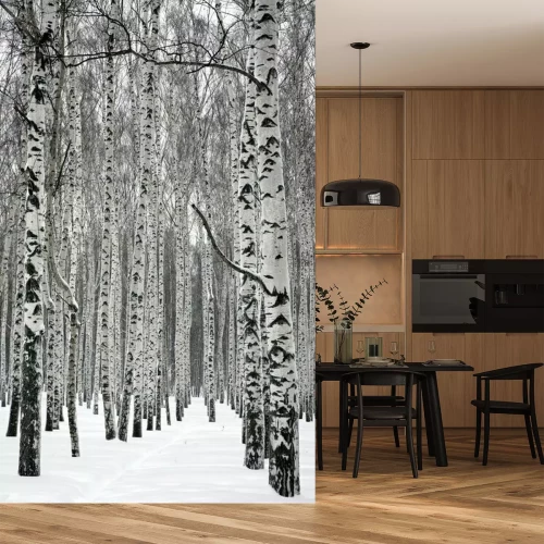 Fototapete Hohe Birken im Winter