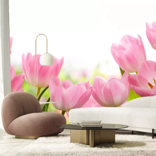 Sticker Rosa Tulpen in einer Nahaufnahme