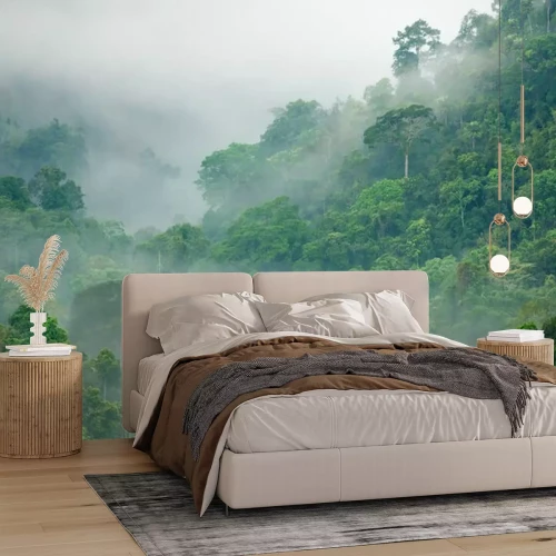 Fototapete Regenwald Morgennebel