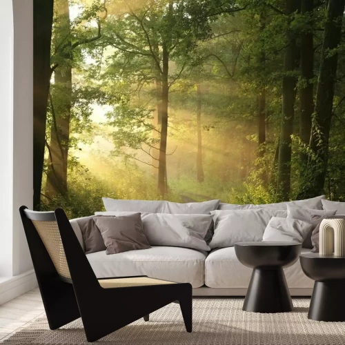 Fototapete Waldweg im Sonnenlicht