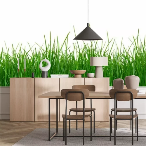 Fototapete Grünes Gras auf weißem Hintergrund