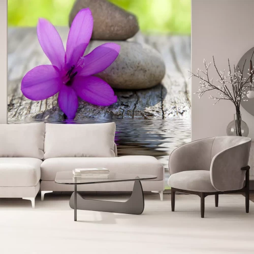 Fototapete Violette Blume und Steine