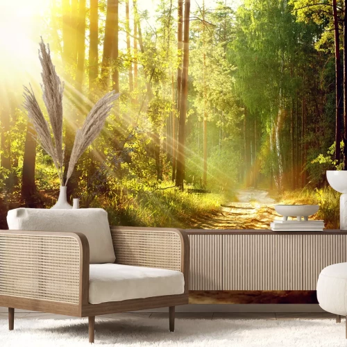 Fototapete Sonnenaufgang im Wald