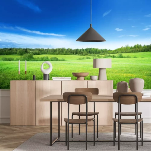 Fototapete Graspanorama Bäume und Himmel