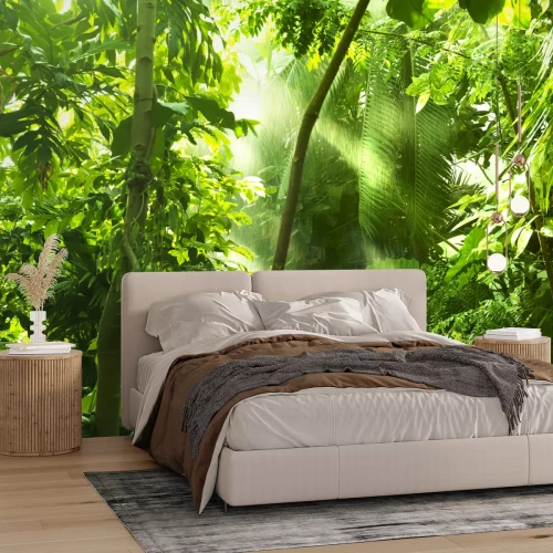 Fototapete Tropischer Wald, Bäume im Sonnenlicht und regen