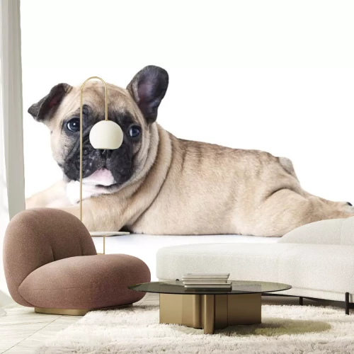 Sticker Familienmitglied Hund Biskuit Bulldogge mit klapperndem Ohr