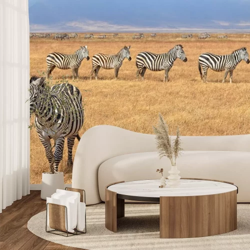 Sticker Zebras in der Savanne