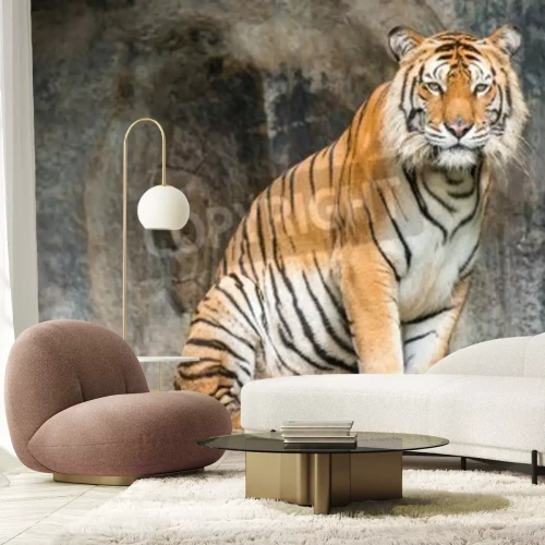 Fototapete Bei der höhle sitzender tiger
