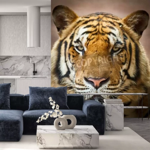 Fototapete Tiger mit rosa nase