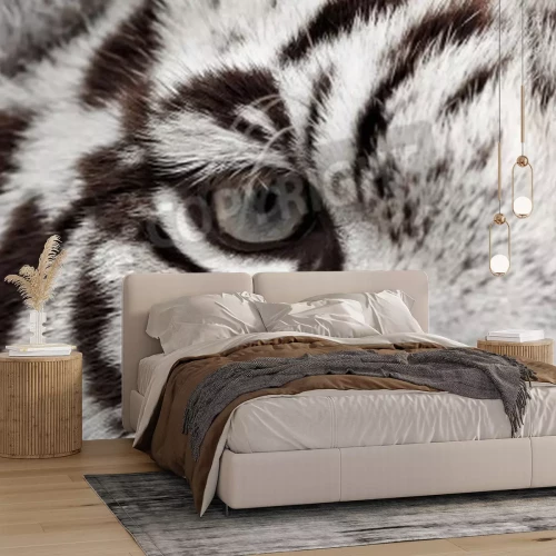 Fototapete Nahaufnahme des tigeraugauges