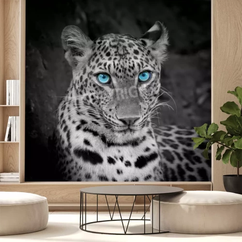 Fototapete Leopard mit blauen augen