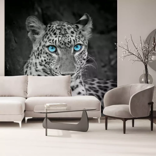 Fototapete Leopard mit blauen augen