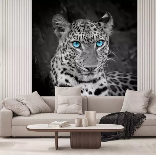 Sticker Leopard mit blauen augen