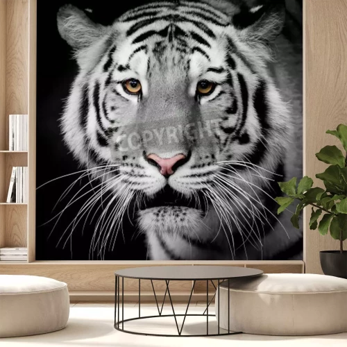 Fototapete Heller tiger auf dunklem hintergrund