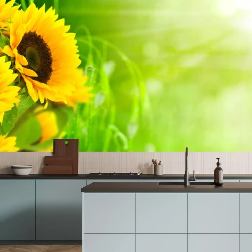 Sticker Sonnenblumen im Sonnenschein