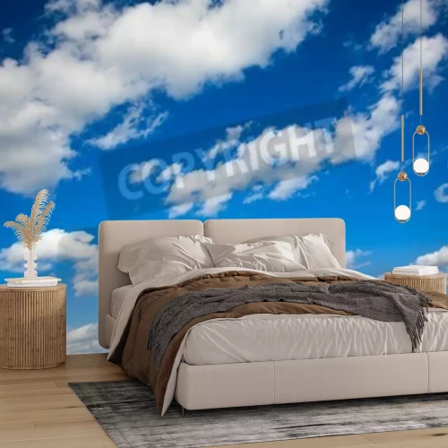 Fototapete Dunkle Silhouette des Flugzeugs am Himmel