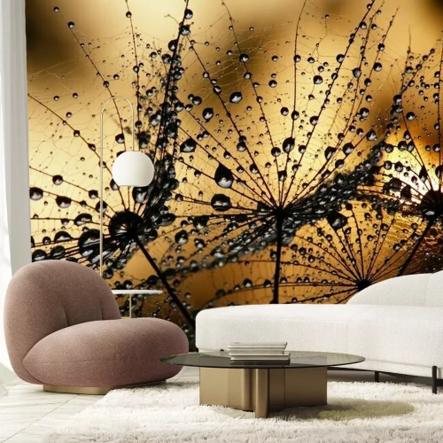 Fototapete Nass Löwenzahn Saatgut