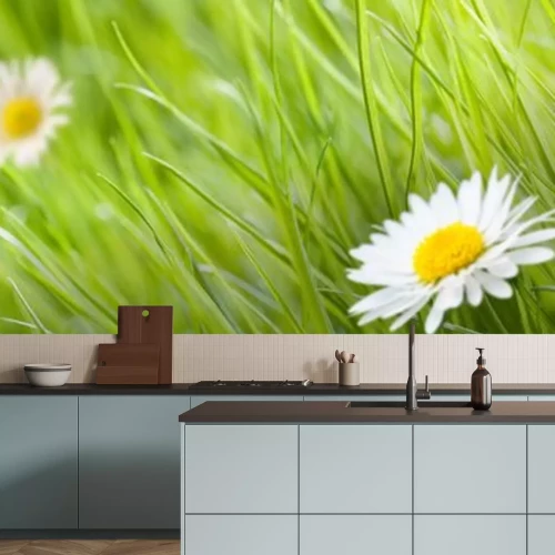 Sticker fleur pâquerette herbe verte et avec une coccinelle et un pré