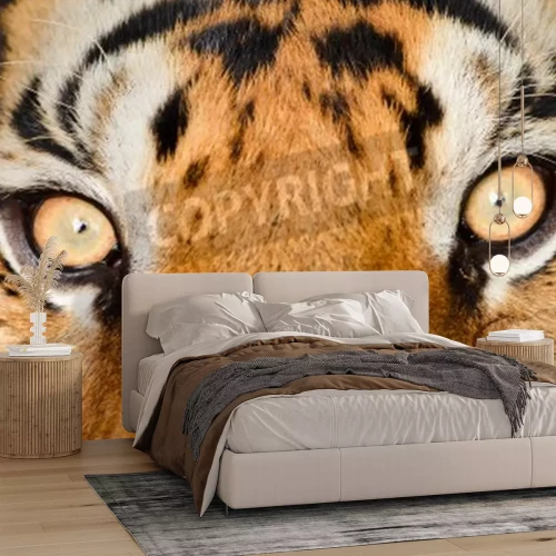 Fototapete Makro-muster mit tiger