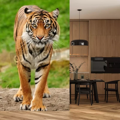 Fototapete Porträt des bengalischen tigers