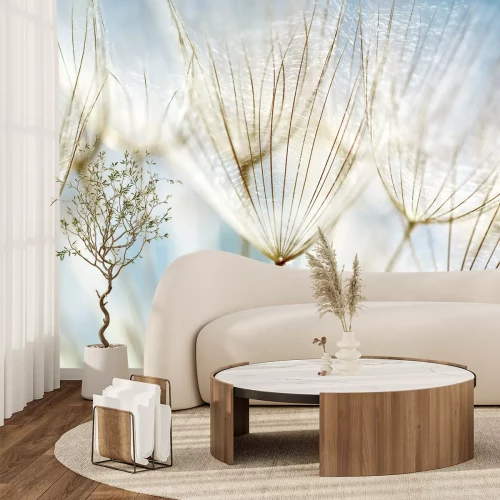 Fototapete Pusteblumensamen vor dem Hintergrund des Himmels