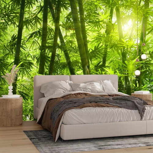 Fototapete Tropischer Bambuswald