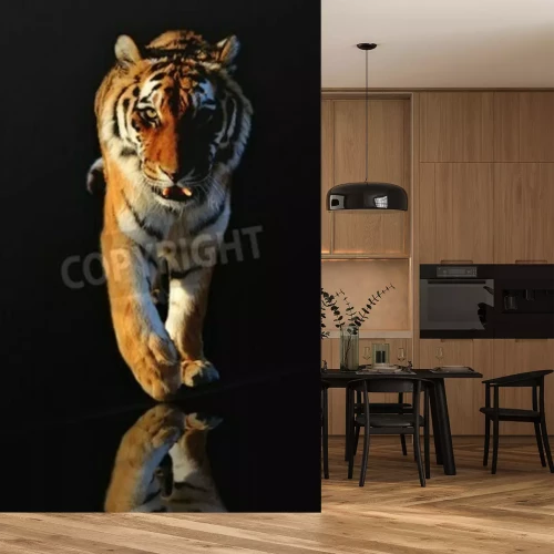 Fototapete Tiger in bewegung vor schwarzem hintergrund